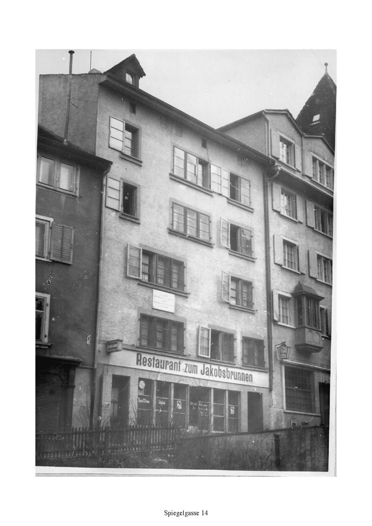 Lenin_Hirzenbach_image_1